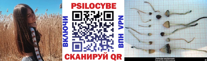 Псилоцибиновые грибы прущие грибы  Купить где  Астрахань 